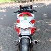 Elegant Sporty Ninja 250R